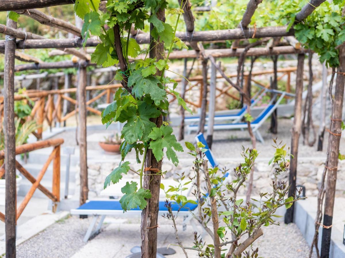 Albergo Diffuso Bacco Furore Εξωτερικό φωτογραφία